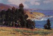Anna Hills July Afternoon,Laguma Beach oil painting picture wholesale